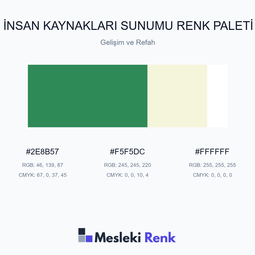 İnsan Kaynakları Sunumu Gelişim ve Refah Renk Paleti