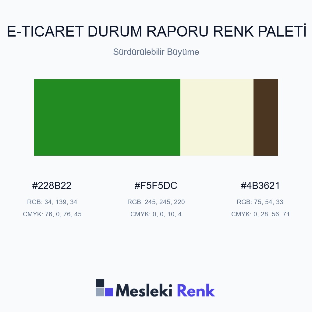 E-Ticaret Durum Raporu Sürdürülebilir Büyüme Renk Paleti