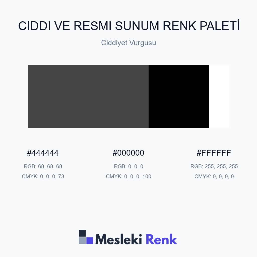 Ciddi ve Resmi Sunum Ciddiyet Vurgusu Renk Paleti