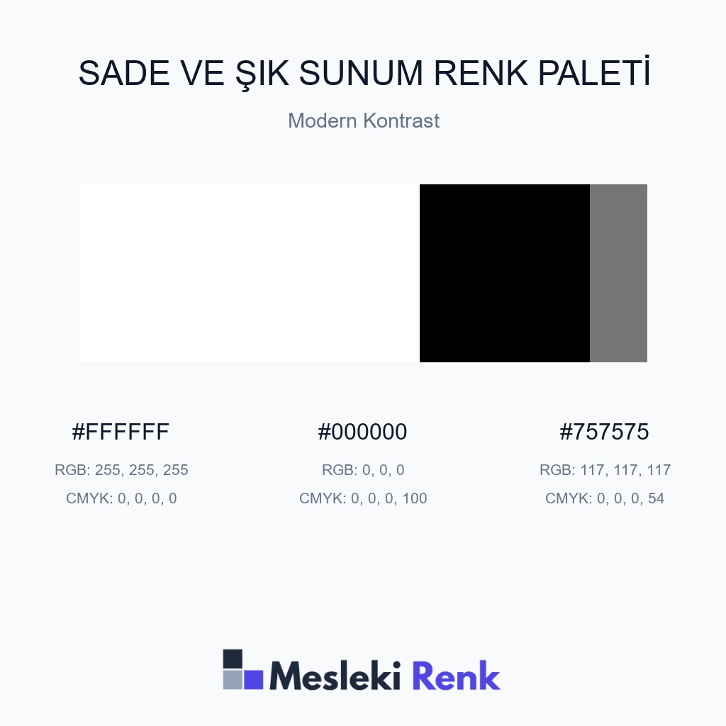 Sade ve Şık Sunum Modern Kontrast Renk Paleti