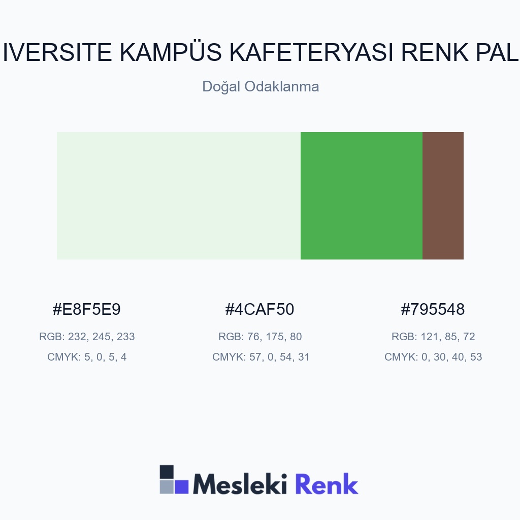 Üniversite Kampüs Kafeteryası Doğal Odaklanma Renk Paleti