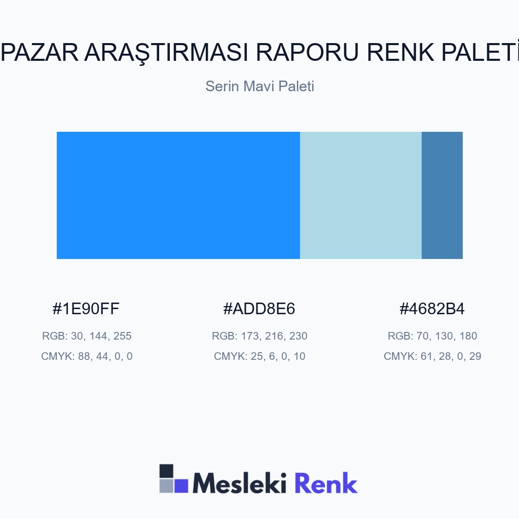 Pazar Araştırması Raporu Serin Mavi Paleti Renk Paleti