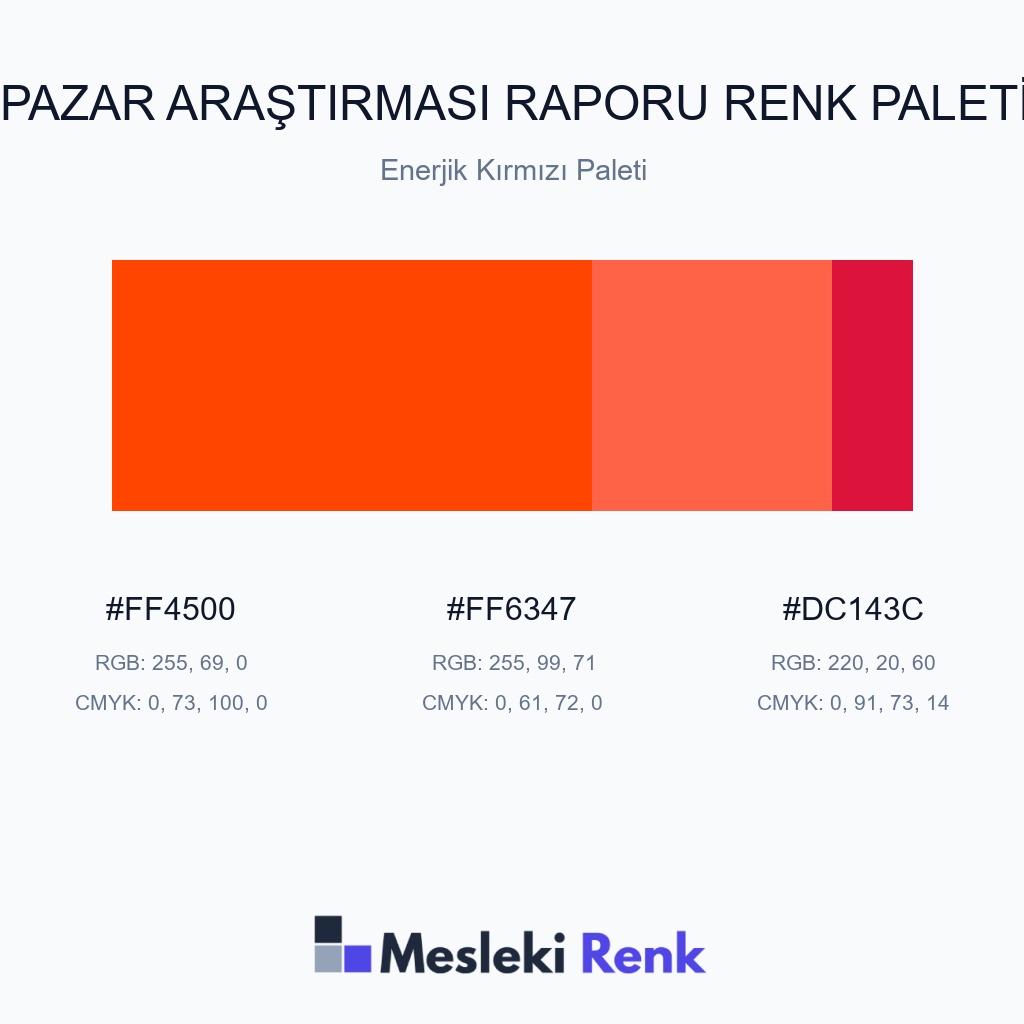 Pazar Araştırması Raporu Enerjik Kırmızı Paleti Renk Paleti