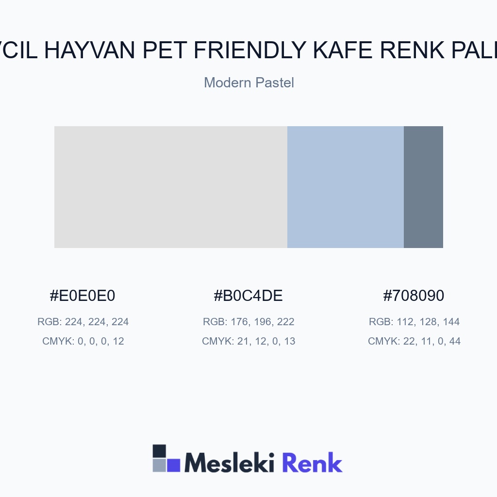 Evcil Hayvan Pet Friendly Kafe Modern Pastel Renk Paleti