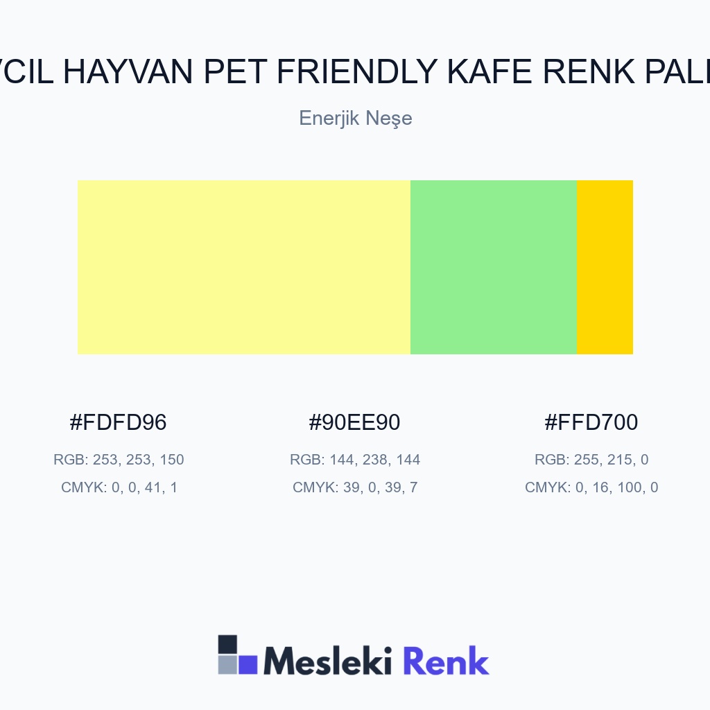 Evcil Hayvan Pet Friendly Kafe Enerjik Neşe Renk Paleti