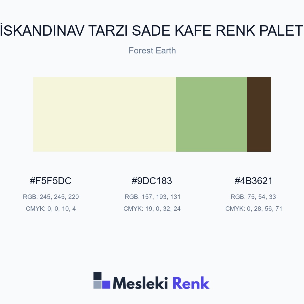 İskandinav Tarzı Sade Kafe Forest Earth Renk Paleti