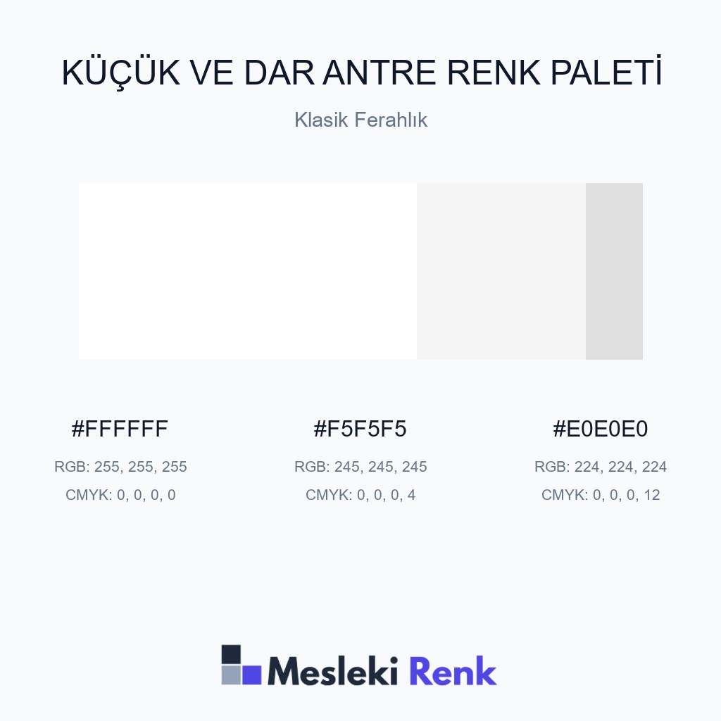 Küçük ve Dar Antre Klasik Ferahlık Renk Paleti