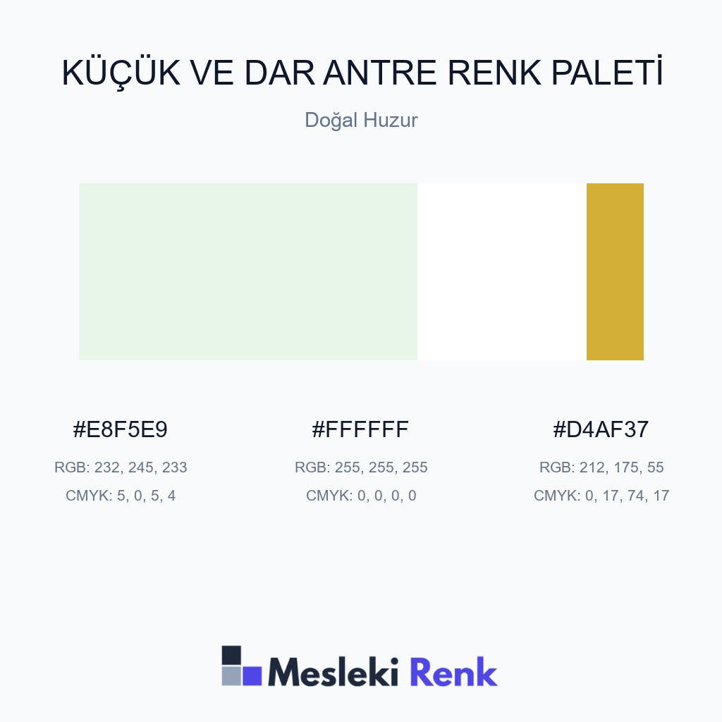 Küçük ve Dar Antre Doğal Huzur Renk Paleti