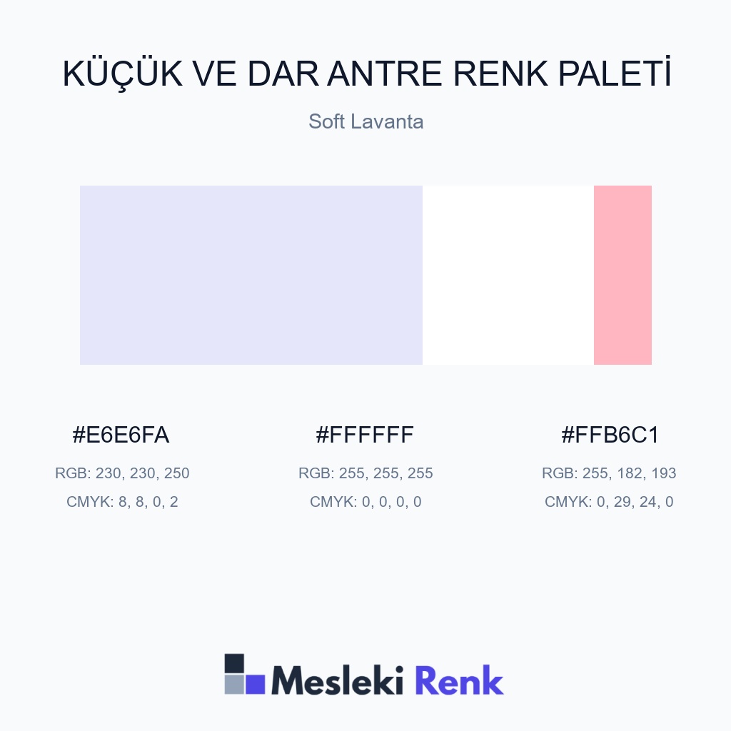 Küçük ve Dar Antre Soft Lavanta Renk Paleti