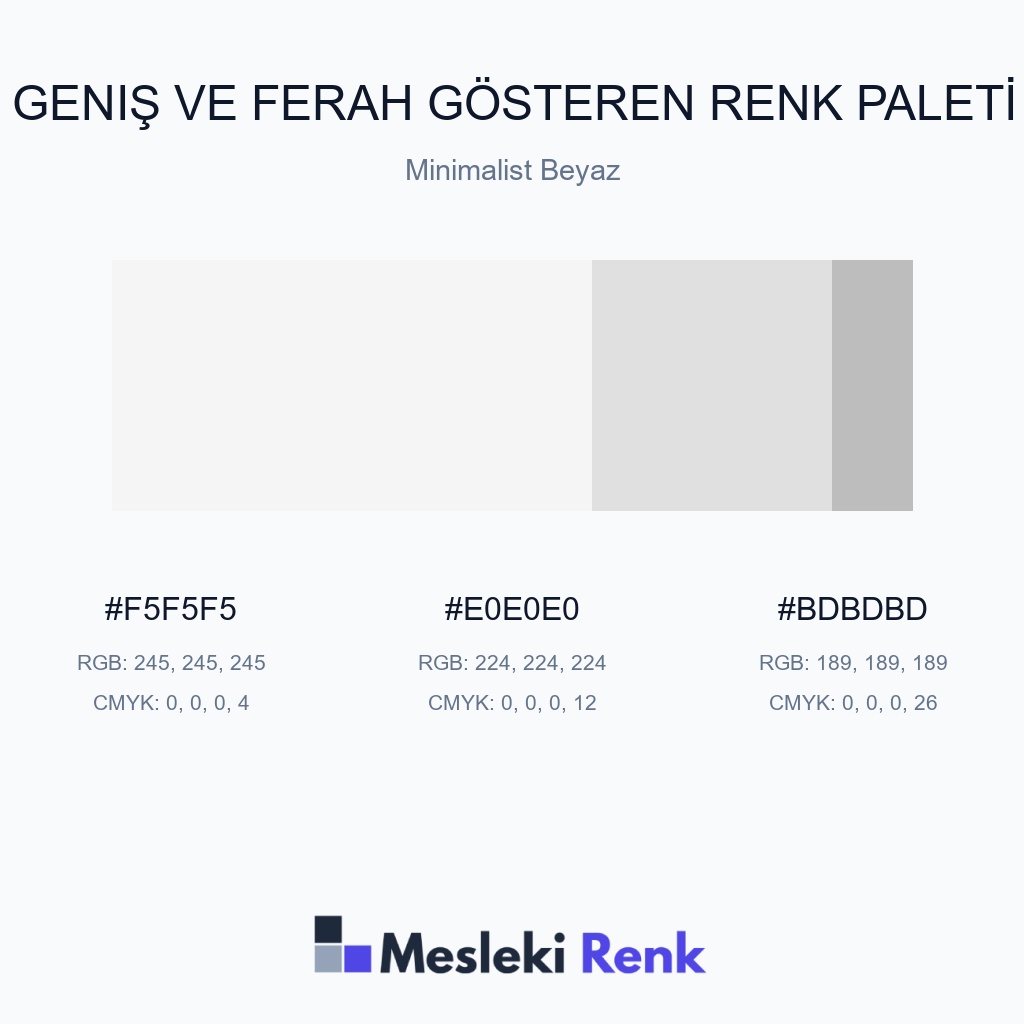 Geniş ve Ferah Gösteren Minimalist Beyaz Renk Paleti
