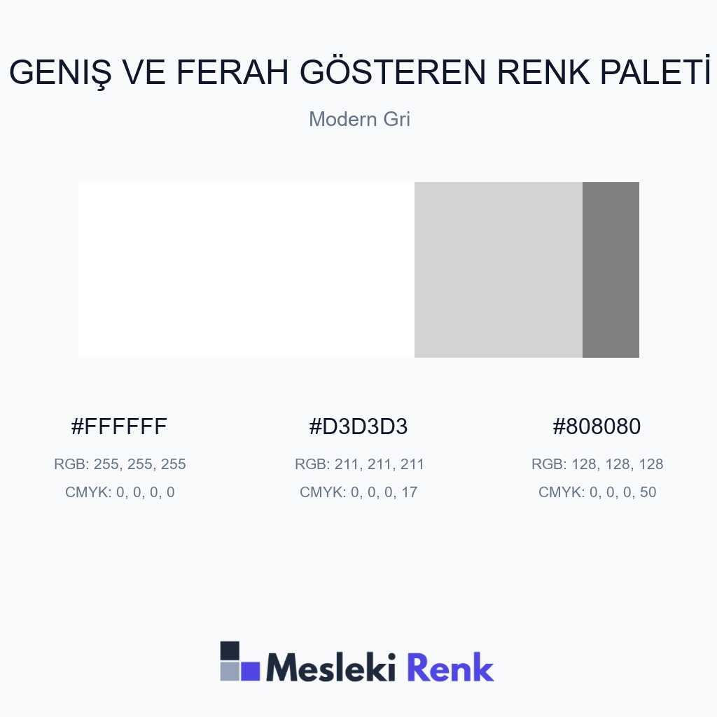 Geniş ve Ferah Gösteren Modern Gri Renk Paleti
