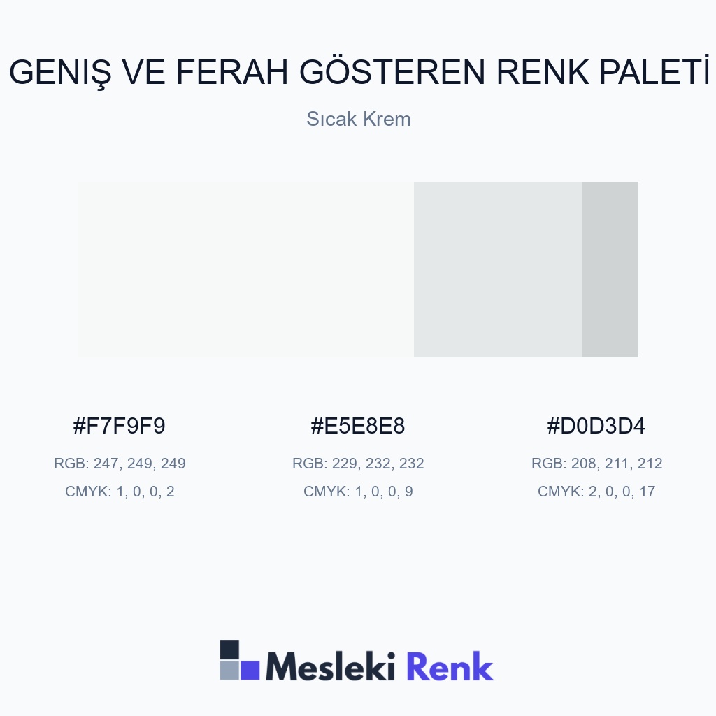 Geniş ve Ferah Gösteren Sıcak Krem Renk Paleti