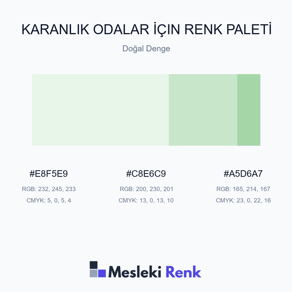 Karanlık Odalar İçin Doğal Denge Renk Paleti