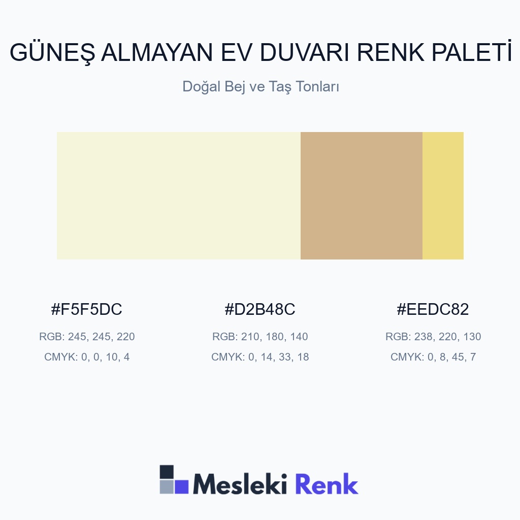 Güneş Almayan Ev Duvarı Doğal Bej ve Taş Tonları Renk Paleti