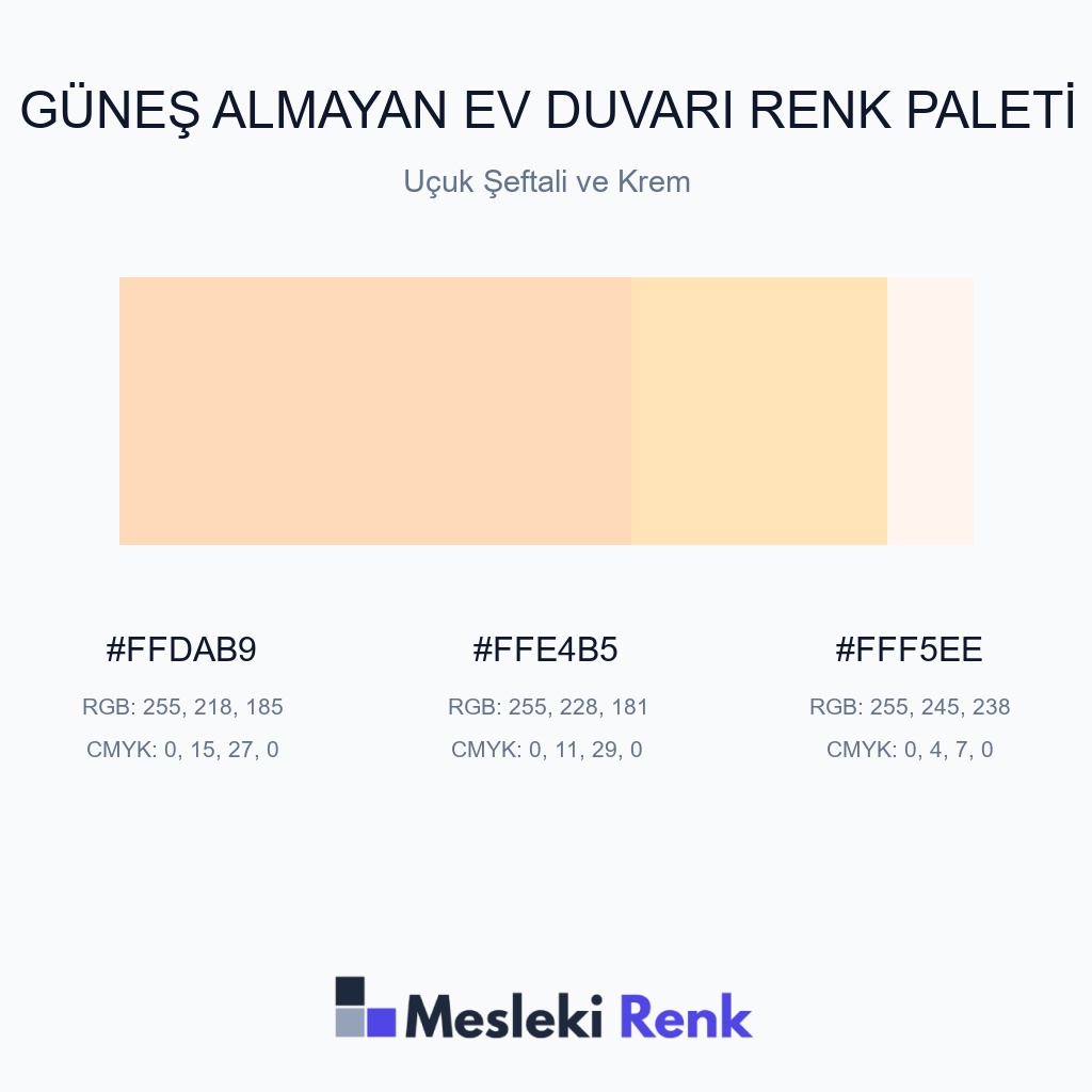Güneş Almayan Ev Duvarı Uçuk Şeftali ve Krem Renk Paleti