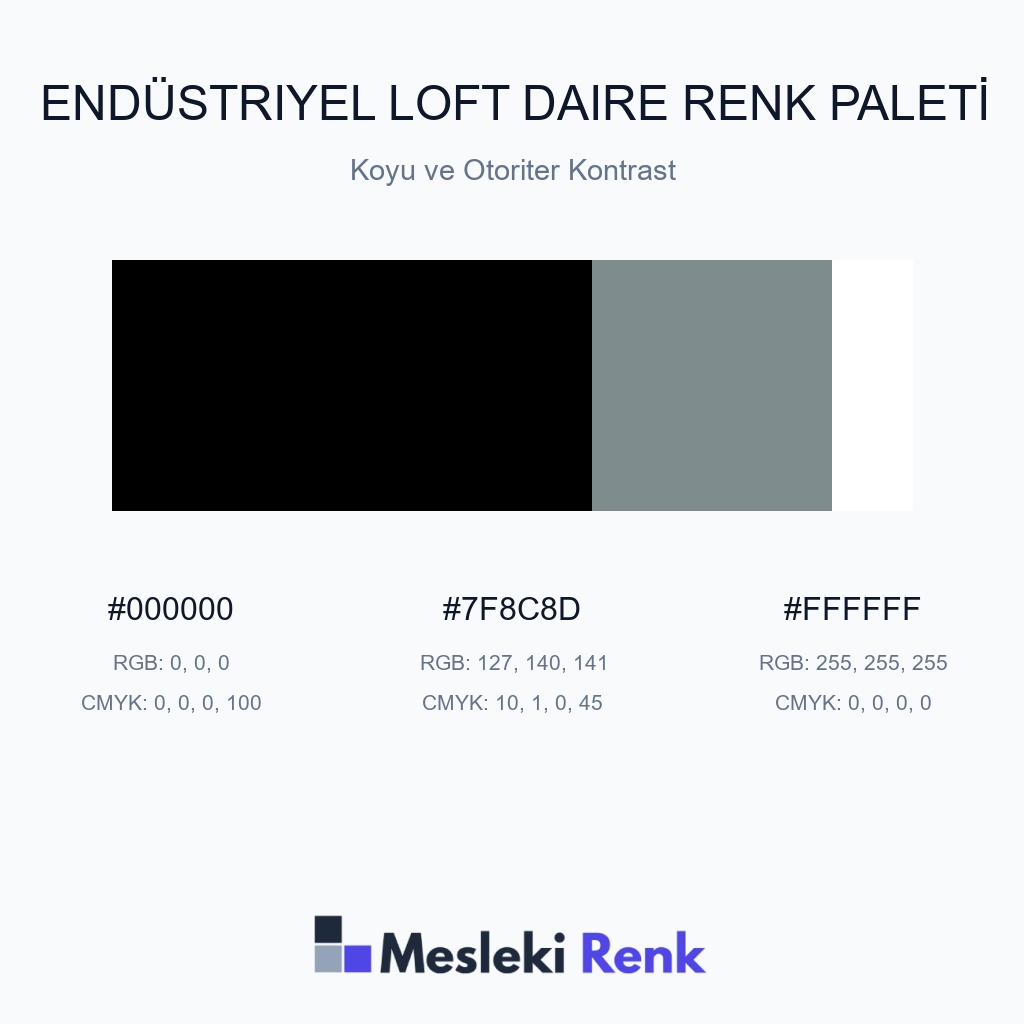 Endüstriyel Loft Daire Koyu ve Otoriter Kontrast Renk Paleti