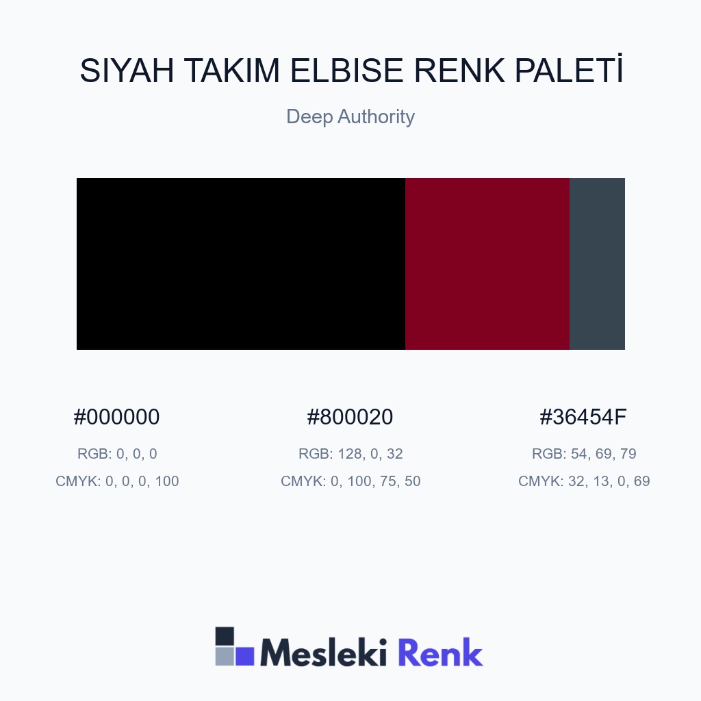 Siyah Takım Elbise Deep Authority Renk Paleti