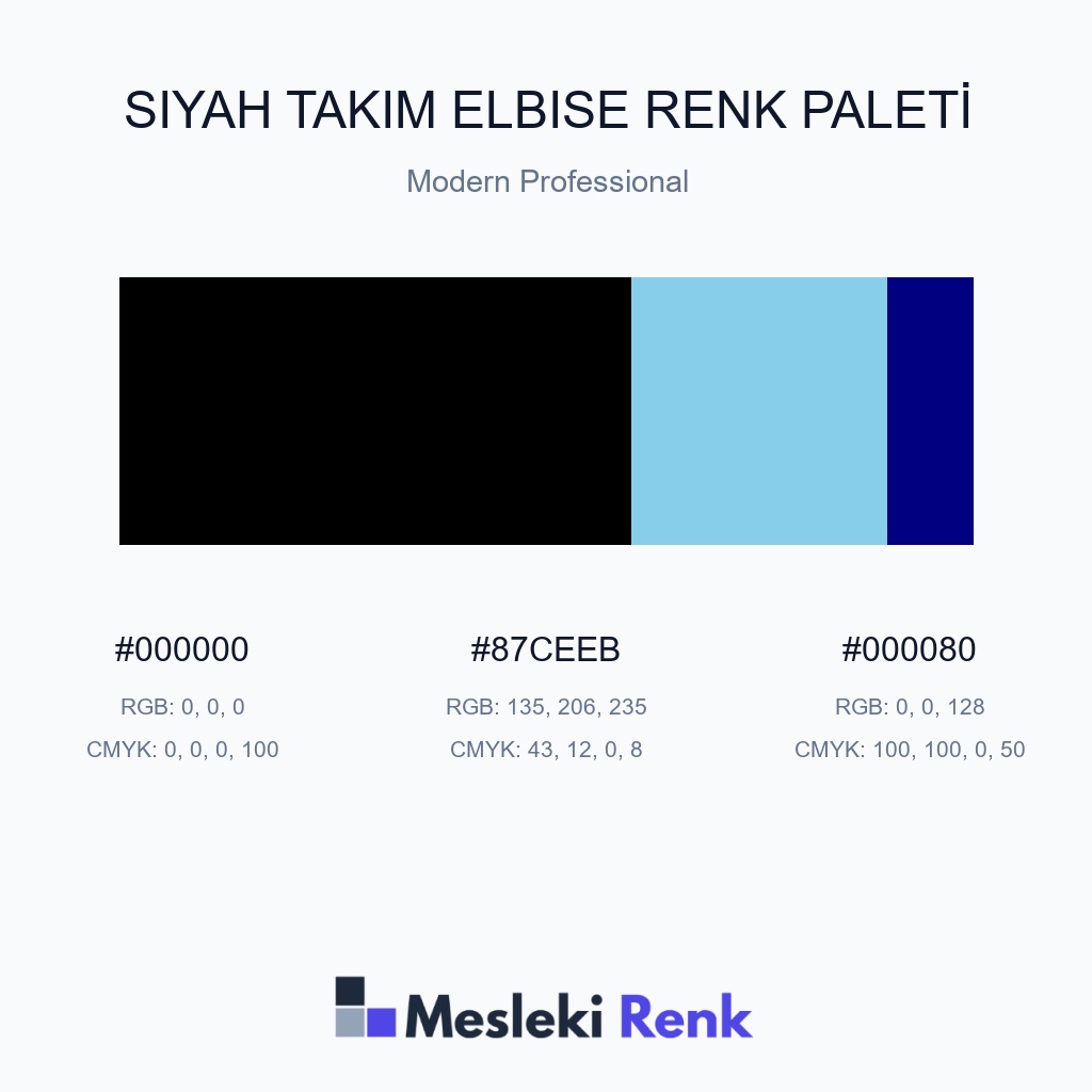 Siyah Takım Elbise Modern Professional Renk Paleti