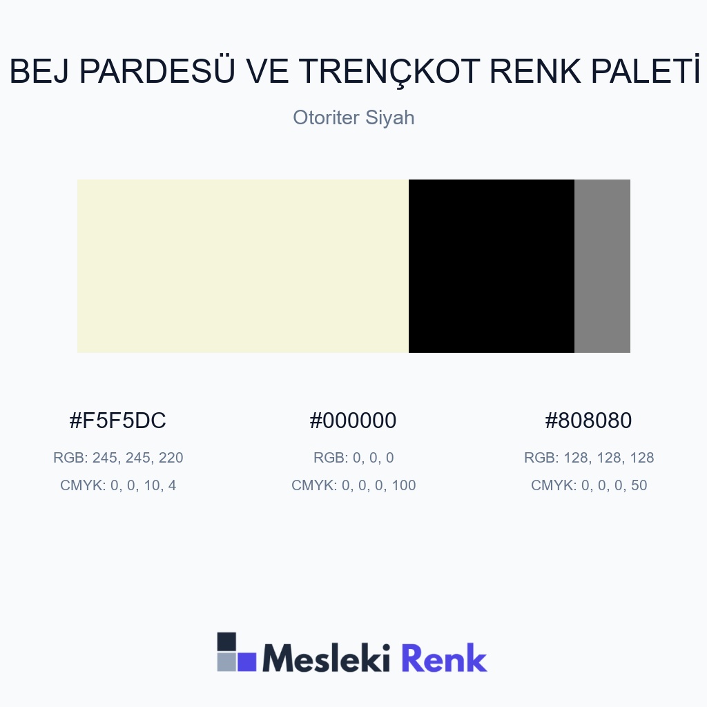 Bej Pardesü ve Trençkot Otoriter Siyah Renk Paleti