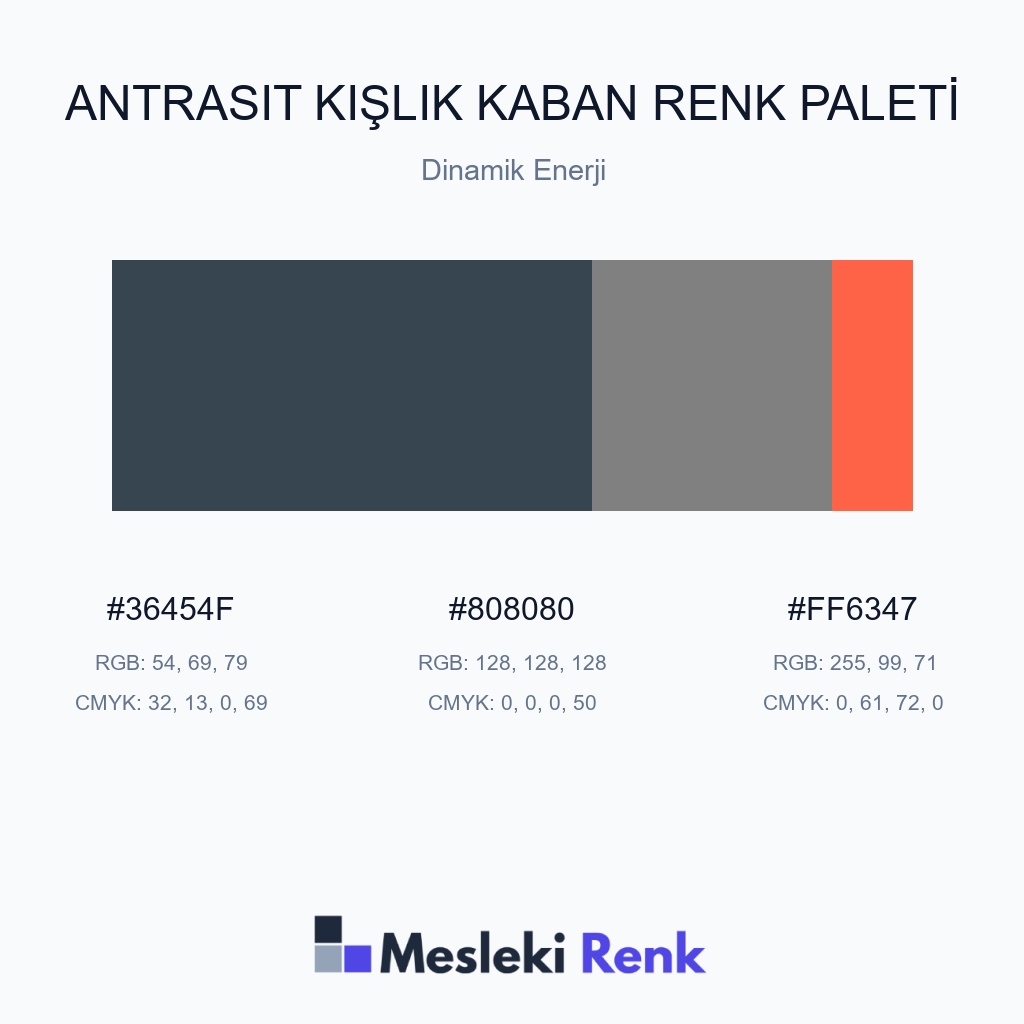 Antrasit Kışlık Kaban Dinamik Enerji Renk Paleti