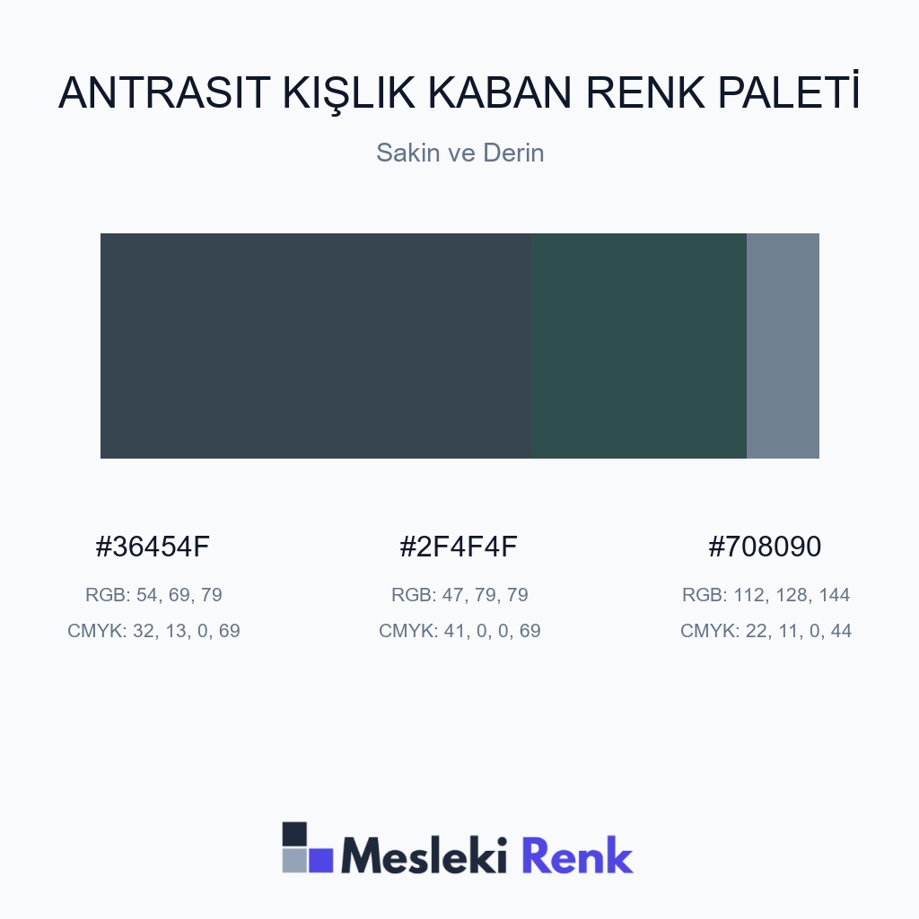 Antrasit Kışlık Kaban Sakin ve Derin Renk Paleti