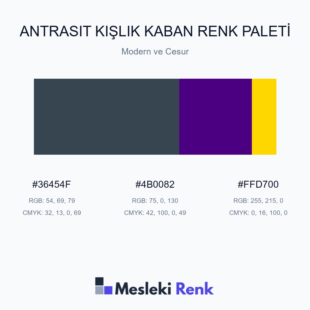 Antrasit Kışlık Kaban Modern ve Cesur Renk Paleti