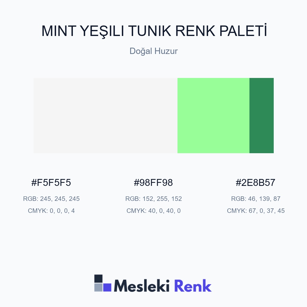 Mint Yeşili Tunik Doğal Huzur Renk Paleti