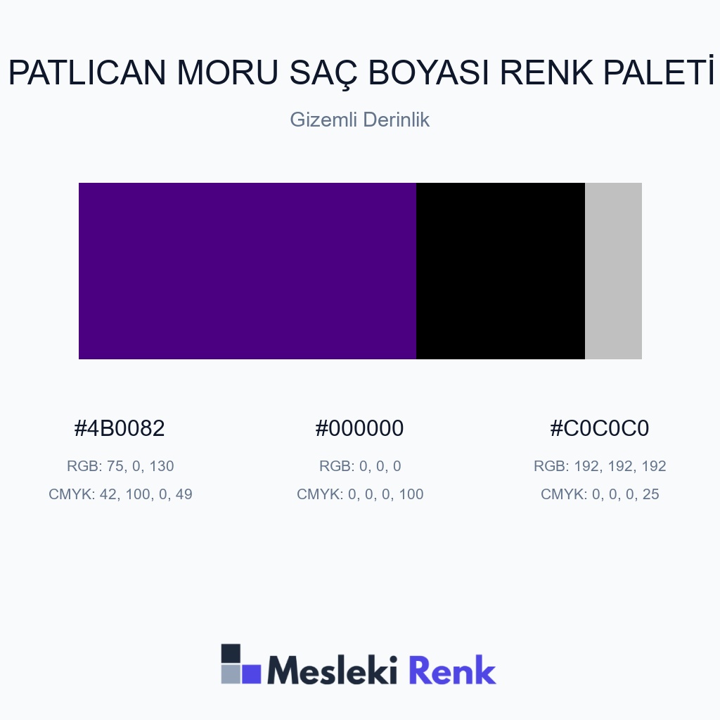 Patlıcan Moru Saç Boyası Gizemli Derinlik Renk Paleti
