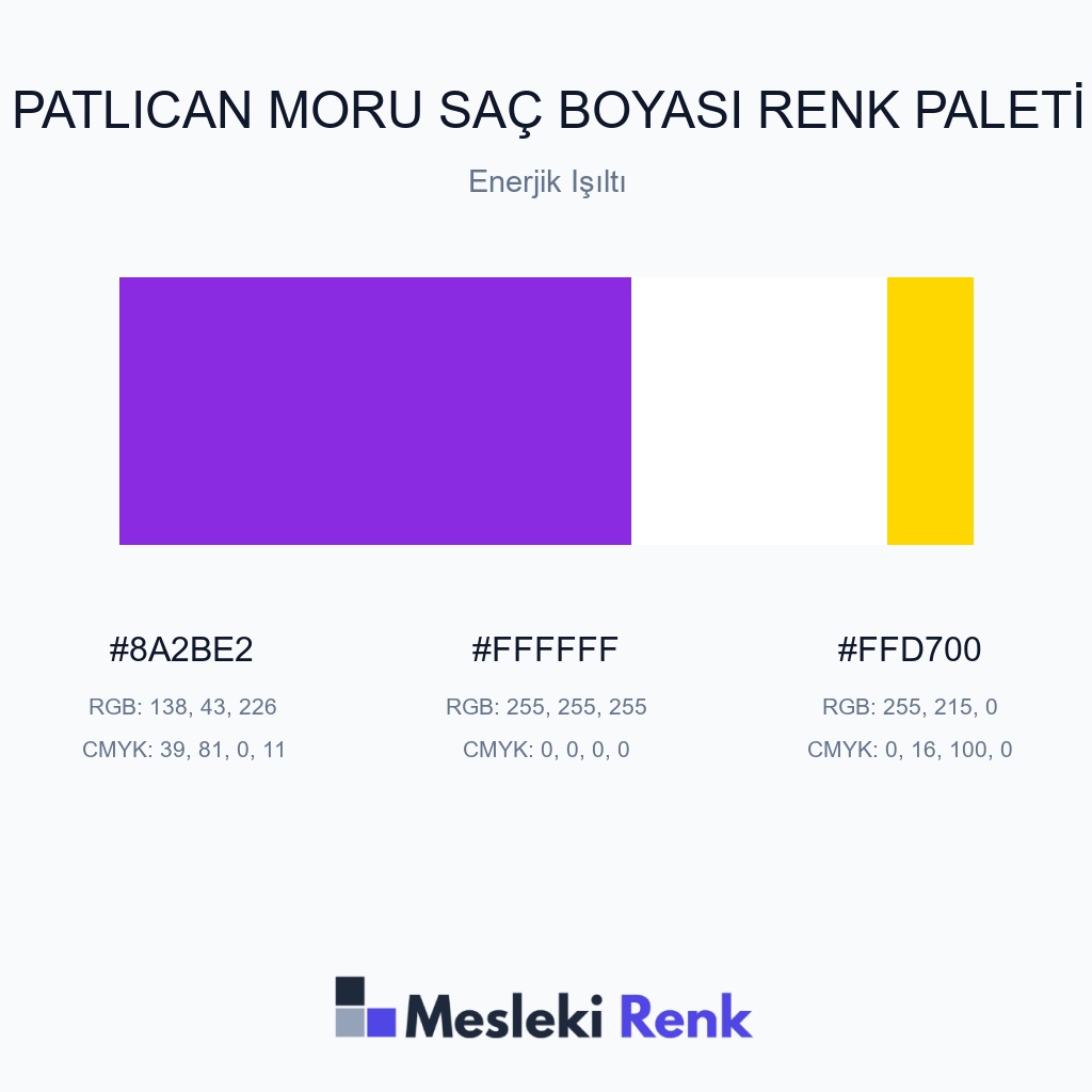 Patlıcan Moru Saç Boyası Enerjik Işıltı Renk Paleti