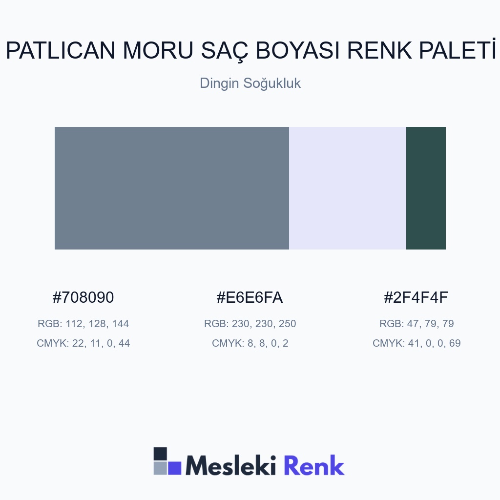 Patlıcan Moru Saç Boyası Dingin Soğukluk Renk Paleti