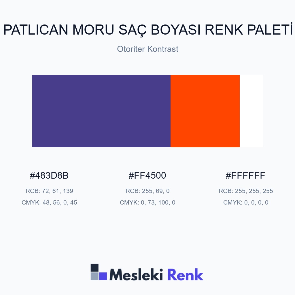 Patlıcan Moru Saç Boyası Otoriter Kontrast Renk Paleti