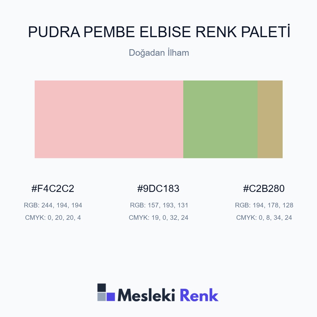 Pudra Pembe Elbise Doğadan İlham Renk Paleti