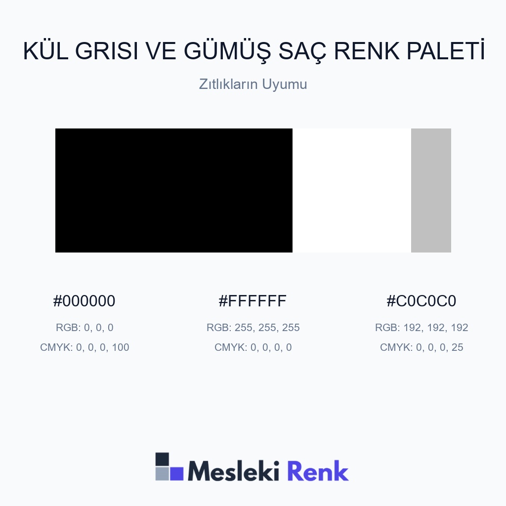 Kül Grisi ve Gümüş Saç Zıtlıkların Uyumu Renk Paleti