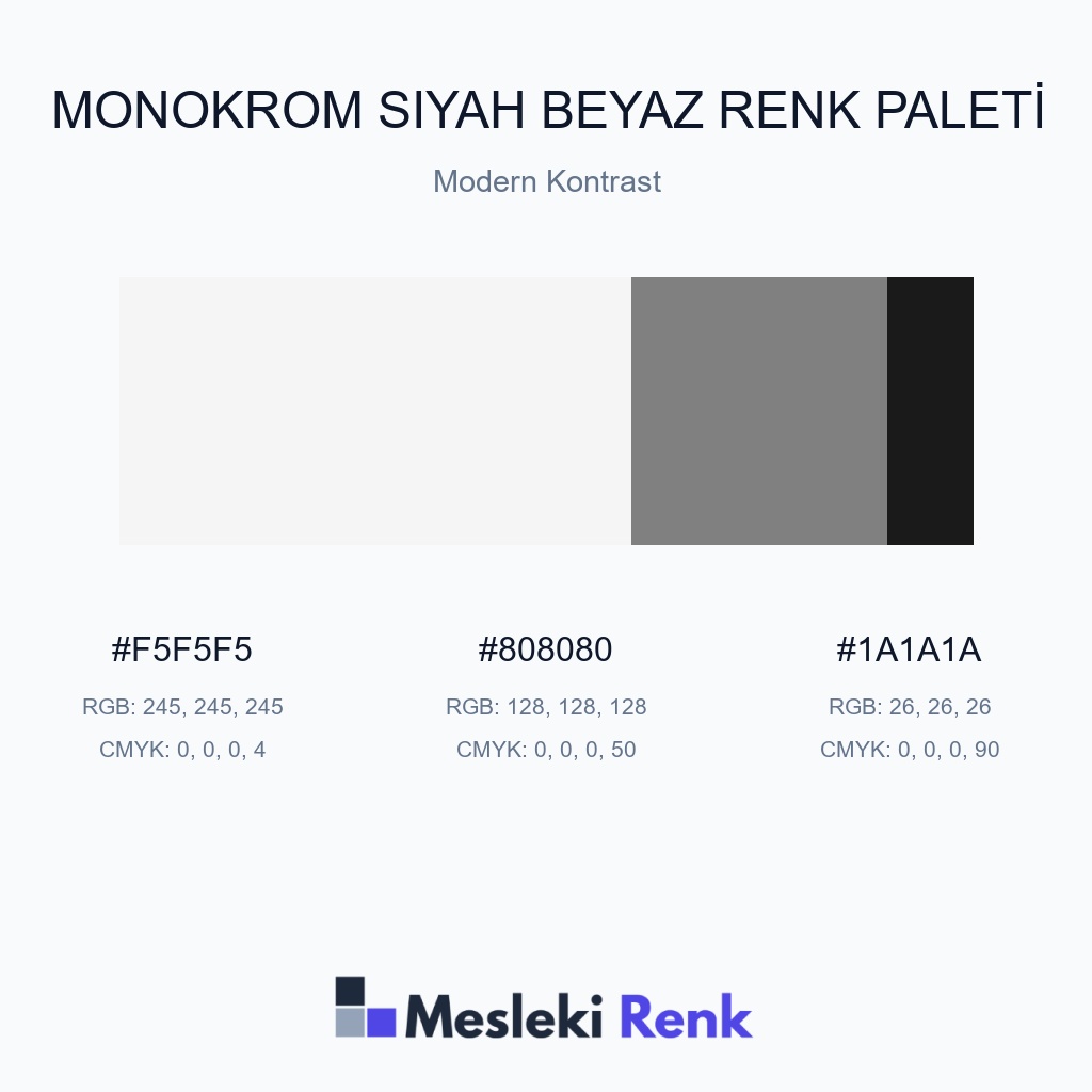 Monokrom Siyah Beyaz Modern Kontrast Renk Paleti
