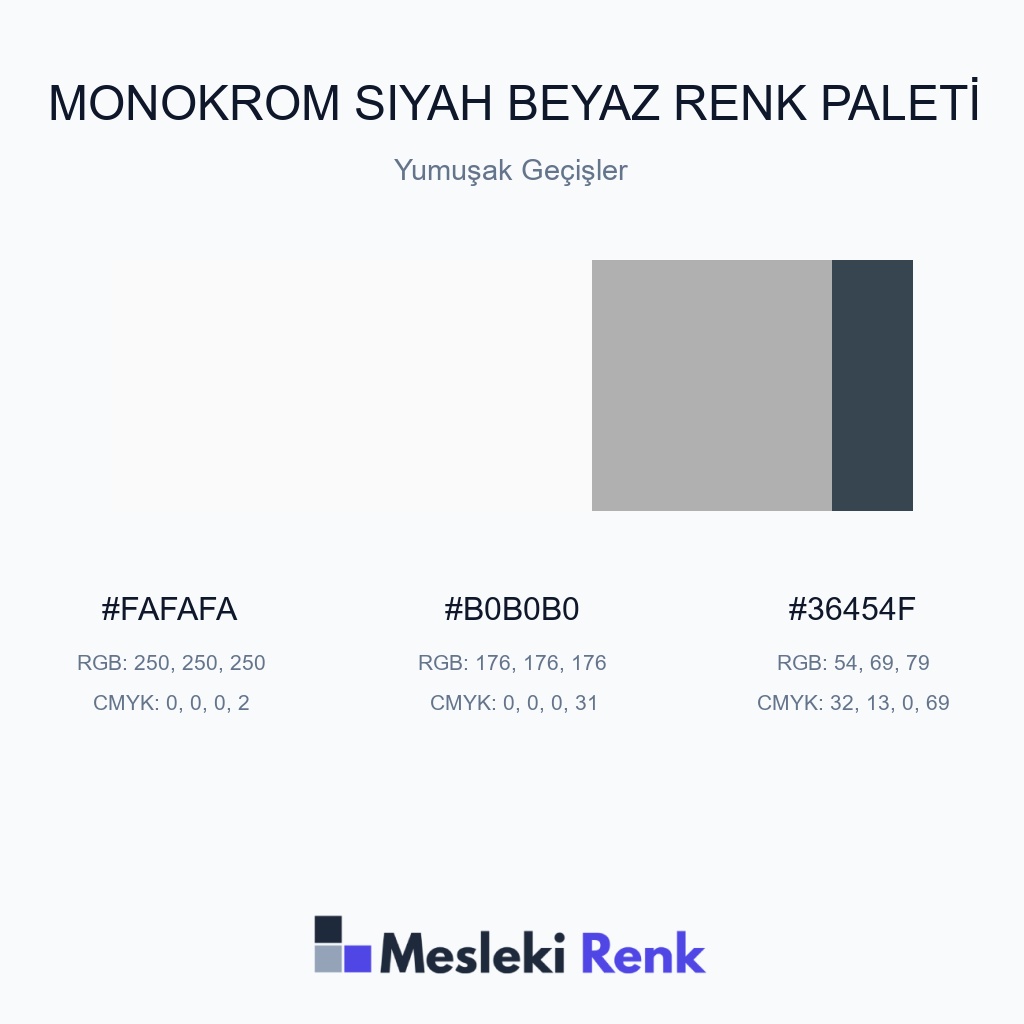 Monokrom Siyah Beyaz Yumuşak Geçişler Renk Paleti