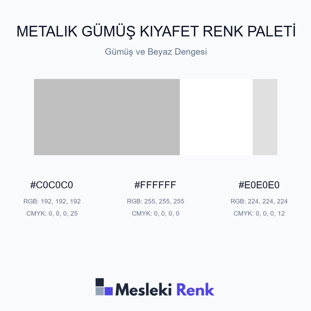 Metalik Gümüş Kıyafet Gümüş ve Beyaz Dengesi Renk Paleti