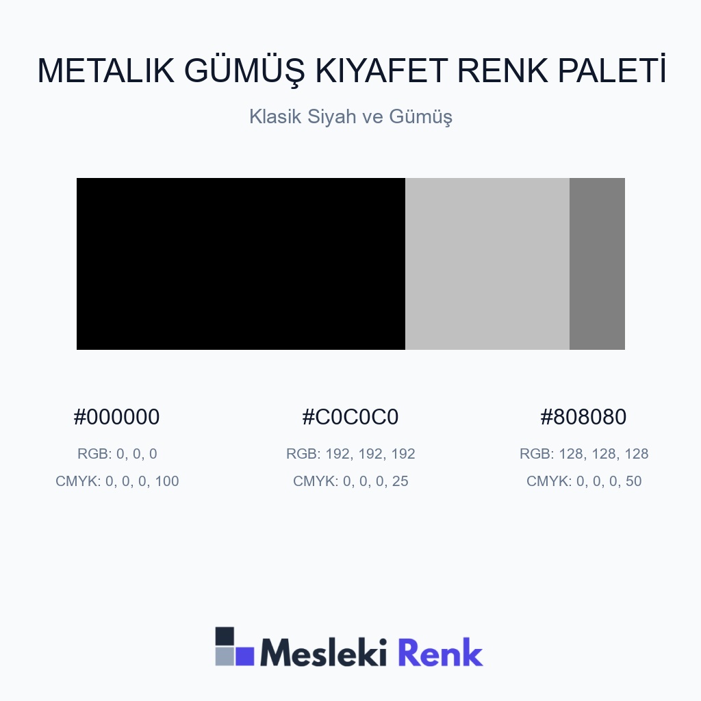Metalik Gümüş Kıyafet Klasik Siyah ve Gümüş Renk Paleti