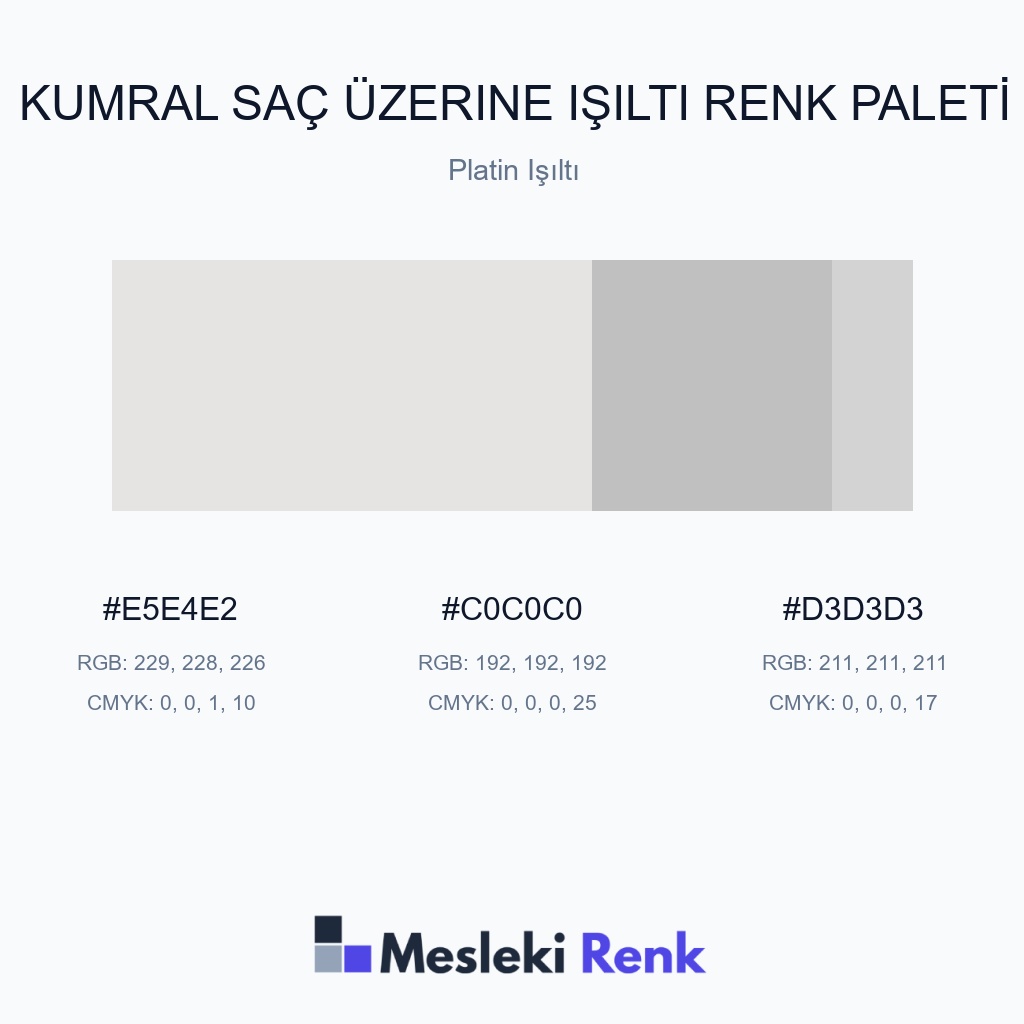 Kumral Saç Üzerine Işıltı Platin Işıltı Renk Paleti