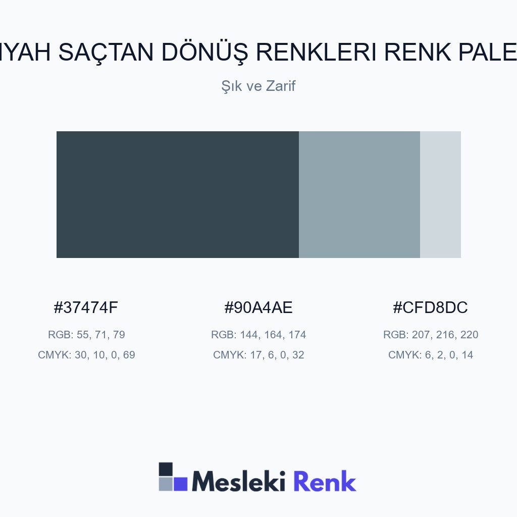 Siyah Saçtan Dönüş Renkleri Şık ve Zarif Renk Paleti
