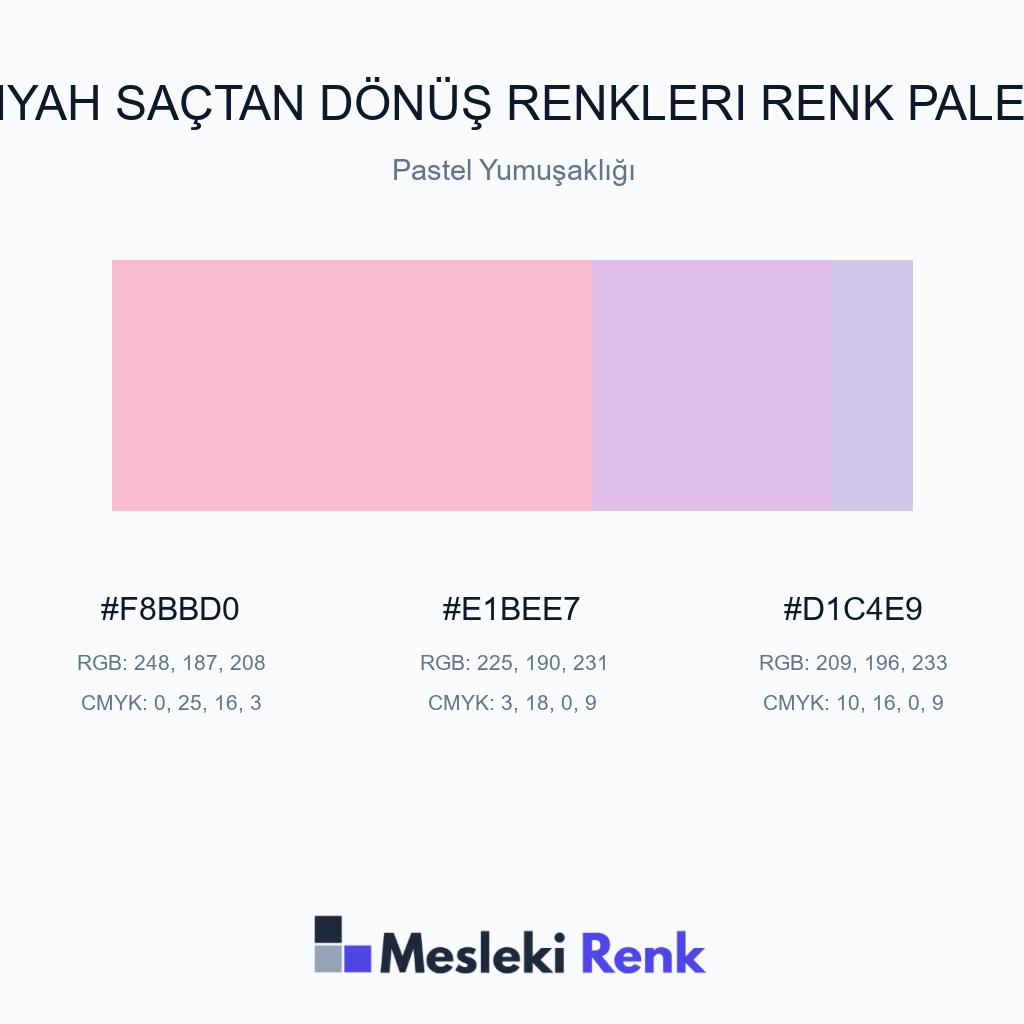 Siyah Saçtan Dönüş Renkleri Pastel Yumuşaklığı Renk Paleti