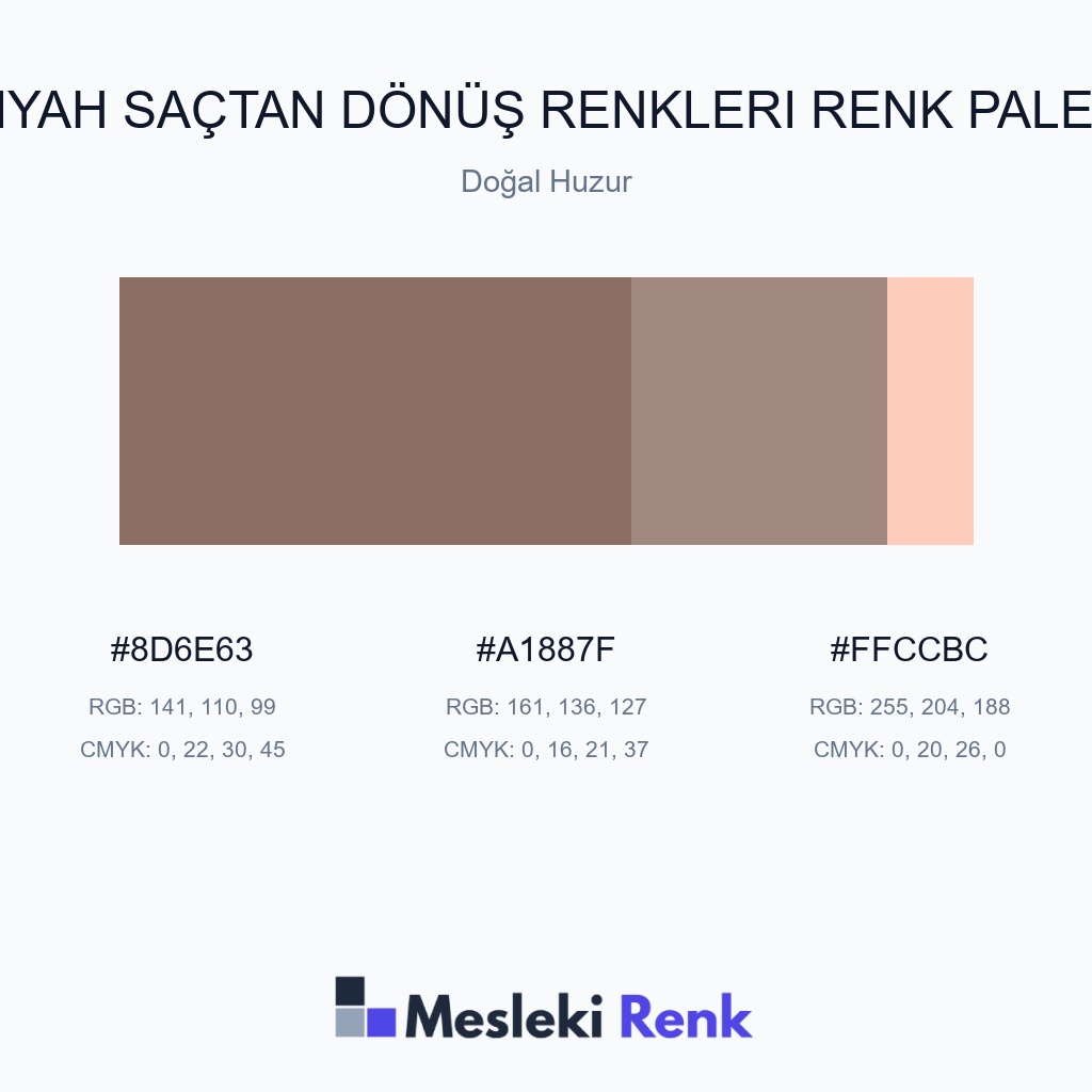 Siyah Saçtan Dönüş Renkleri Doğal Huzur Renk Paleti