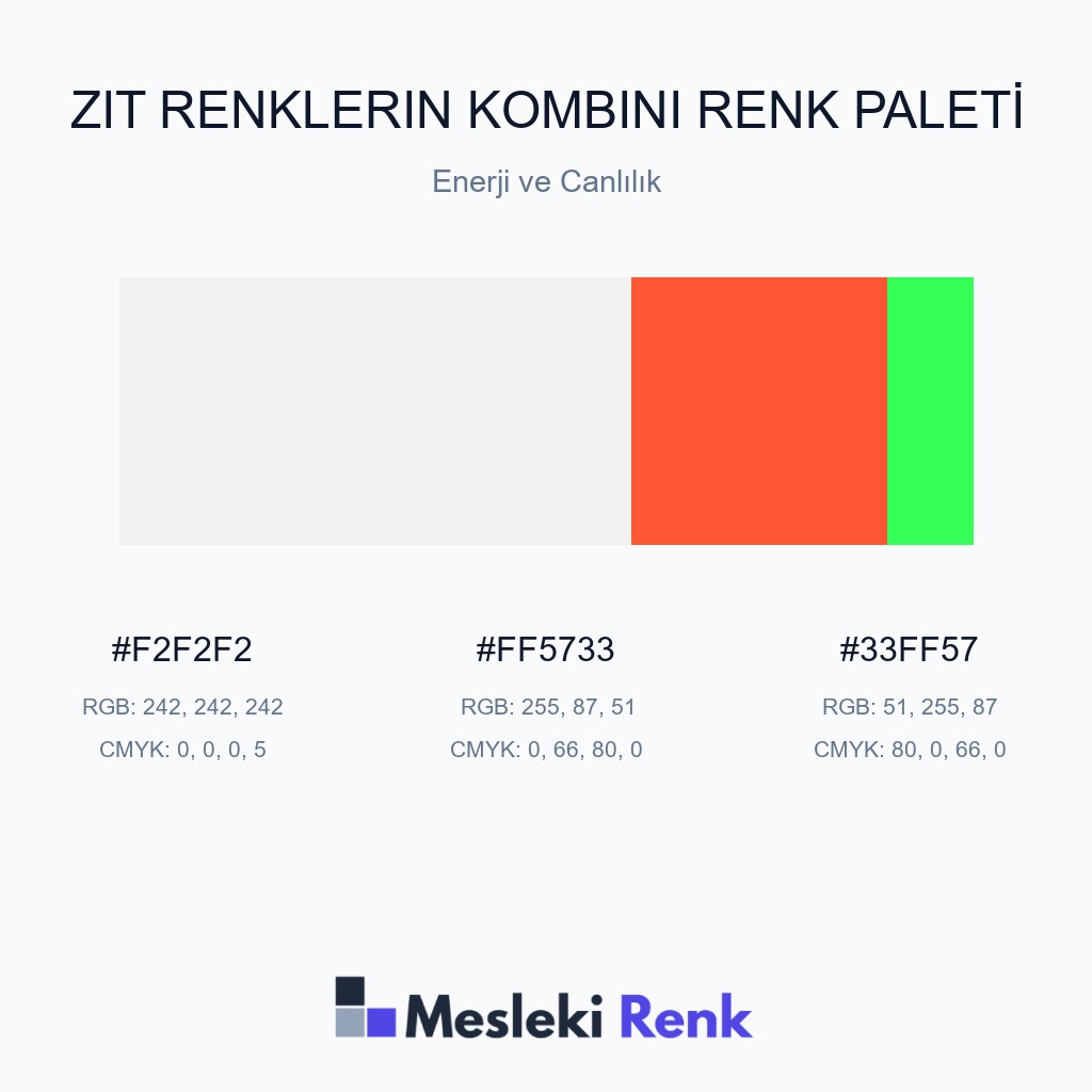 Zıt Renklerin Kombini Enerji ve Canlılık Renk Paleti