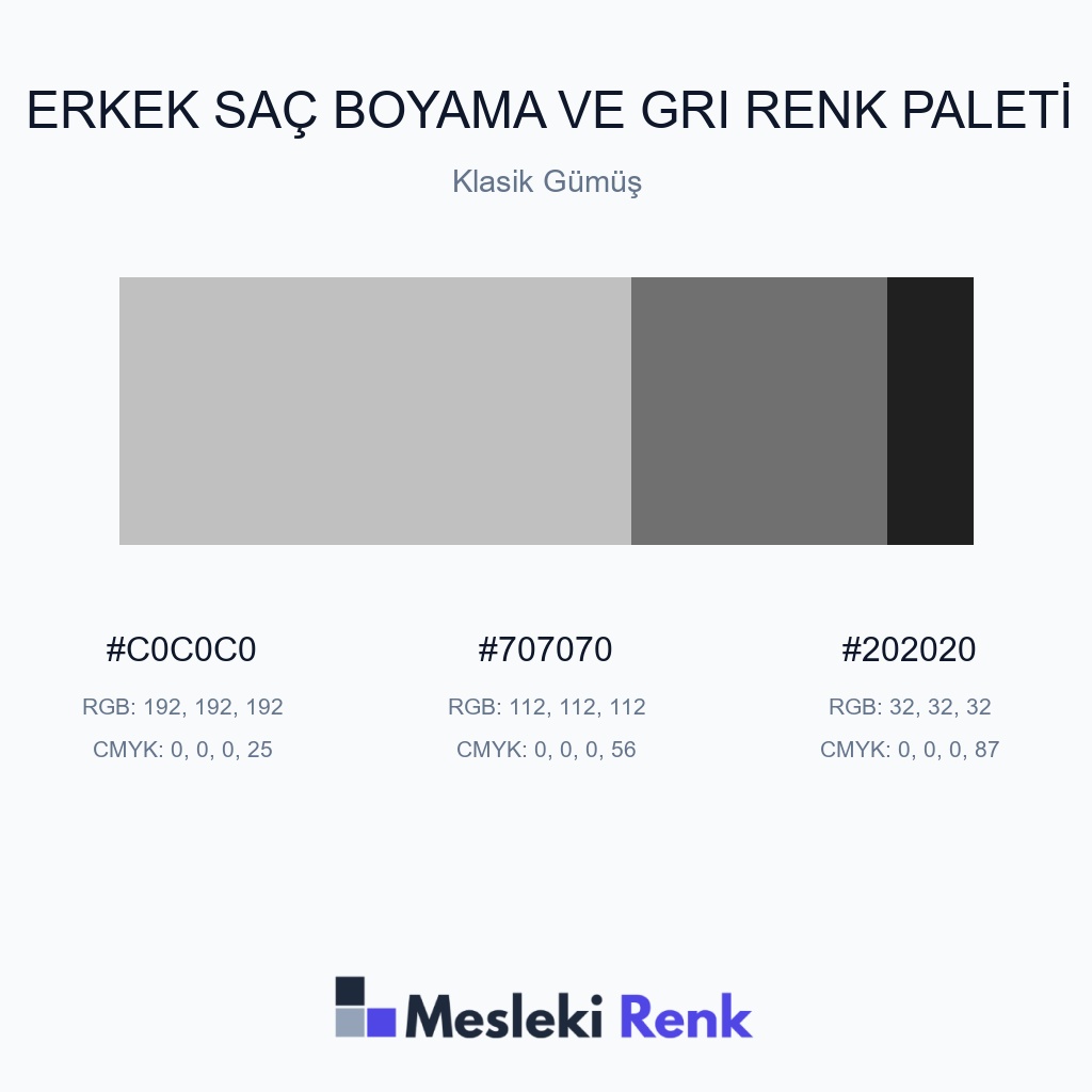 Erkek Saç Boyama ve Gri Klasik Gümüş Renk Paleti