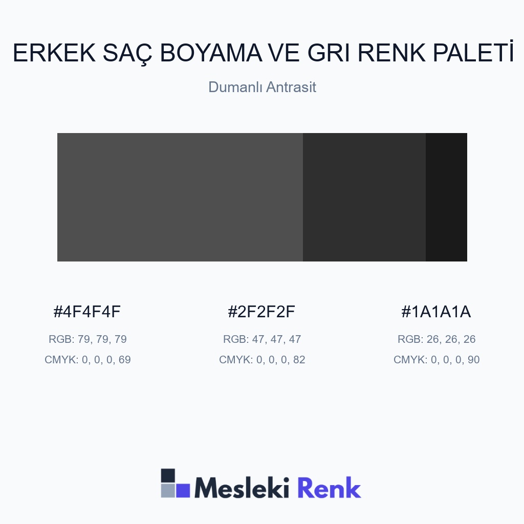Erkek Saç Boyama ve Gri Dumanlı Antrasit Renk Paleti