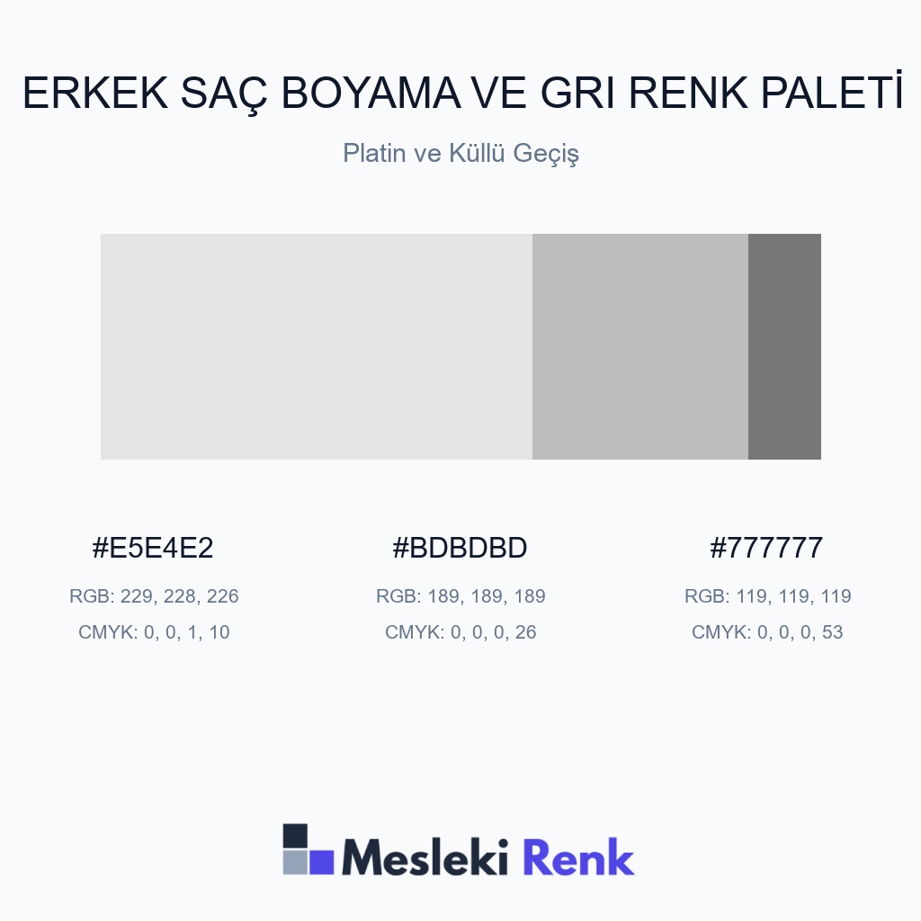 Erkek Saç Boyama ve Gri Platin ve Küllü Geçiş Renk Paleti