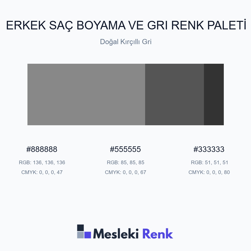 Erkek Saç Boyama ve Gri Doğal Kırçıllı Gri Renk Paleti