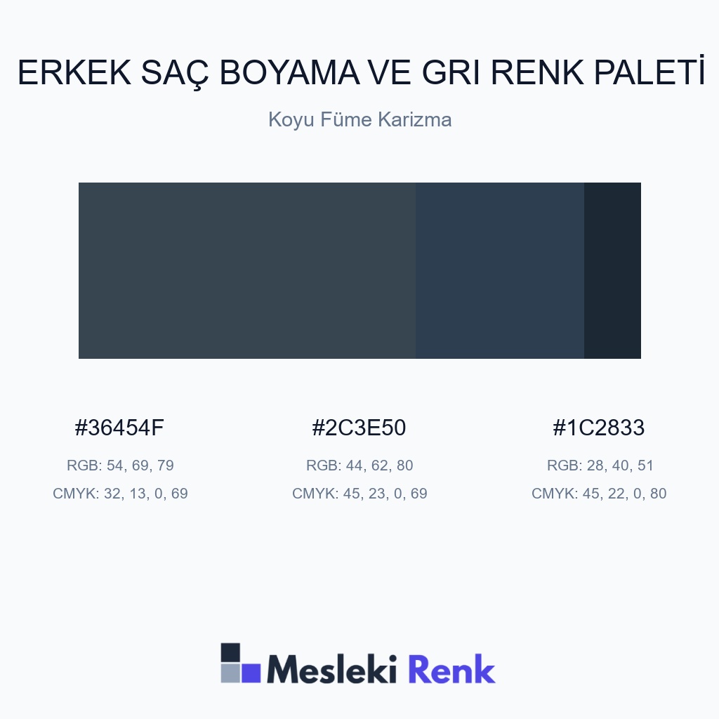 Erkek Saç Boyama ve Gri Koyu Füme Karizma Renk Paleti