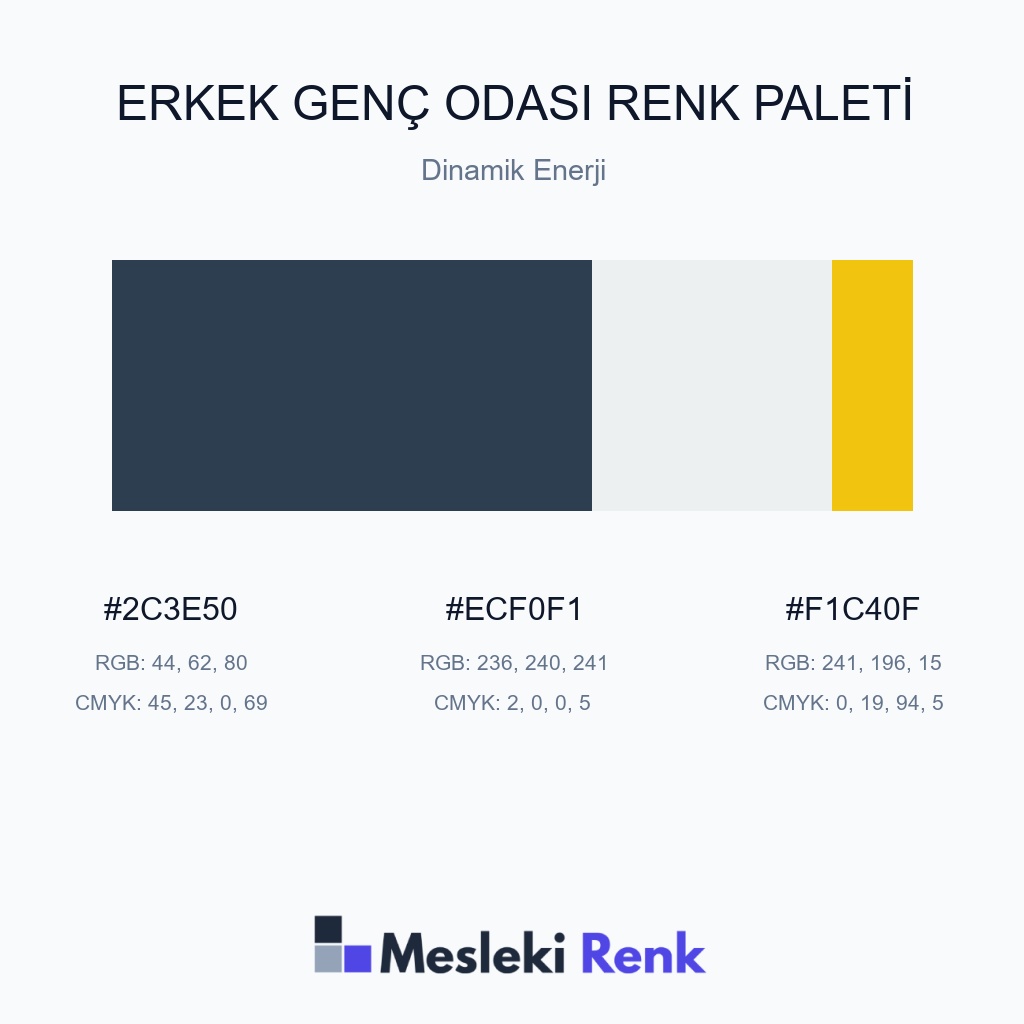 Erkek Genç Odası Dinamik Enerji Renk Paleti