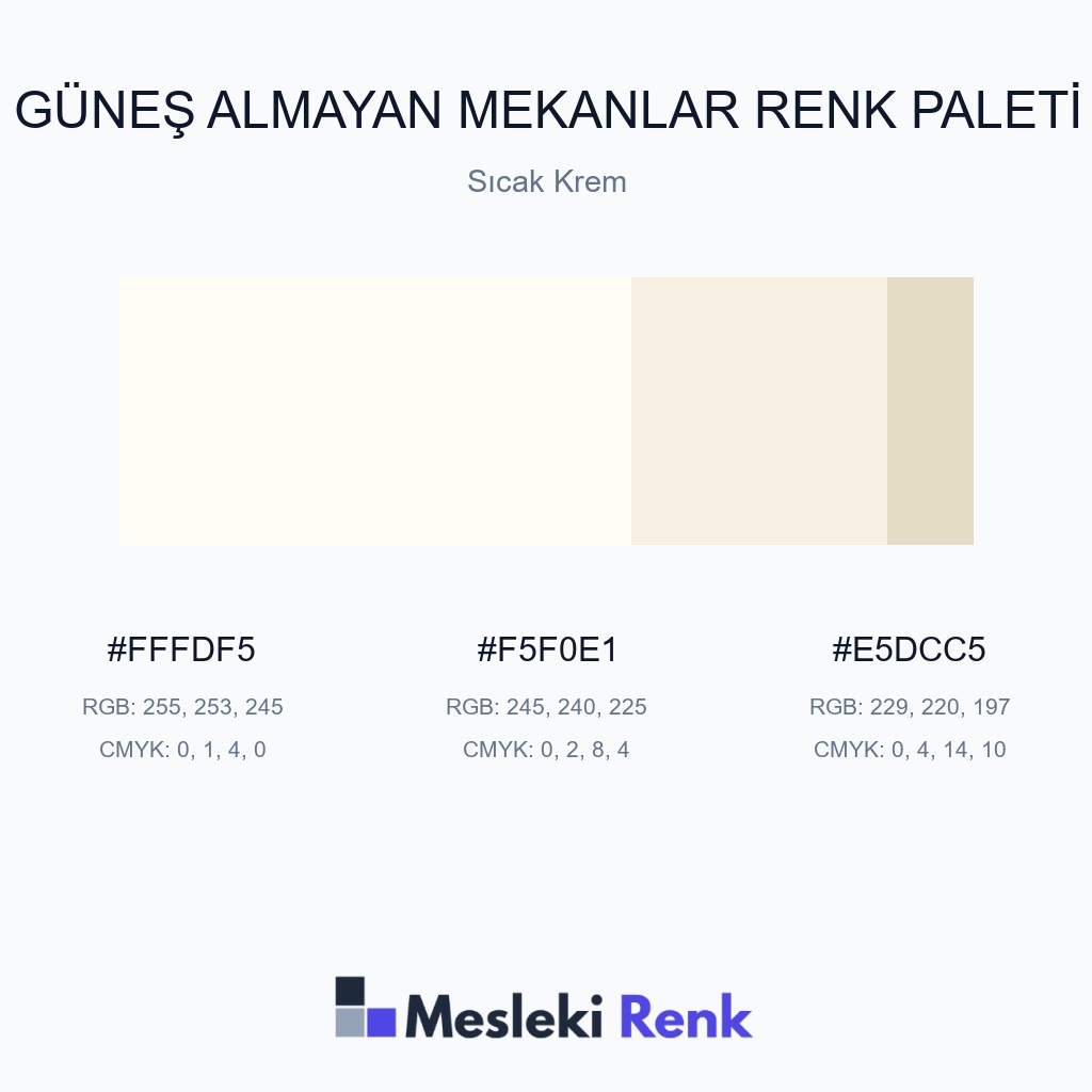 Güneş Almayan Mekanlar Sıcak Krem Renk Paleti