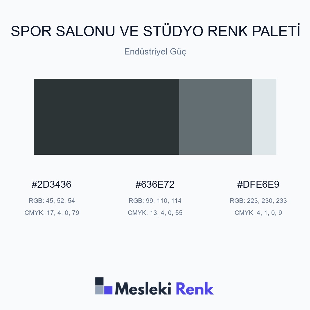Spor Salonu ve Stüdyo Endüstriyel Güç Renk Paleti